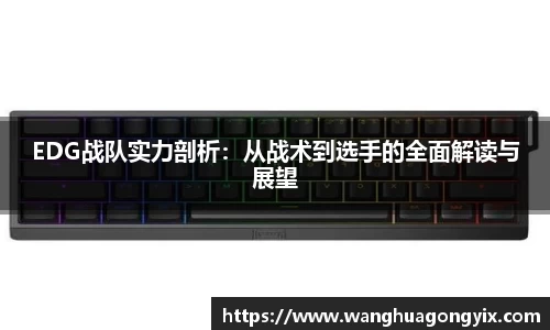 EDG战队实力剖析：从战术到选手的全面解读与展望